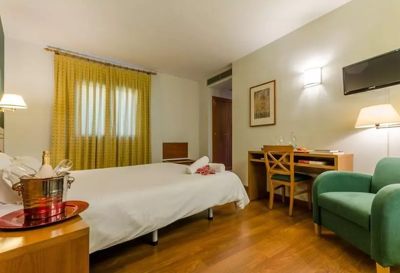 Fotos del hotel Yit Conquista De Toledo:  17