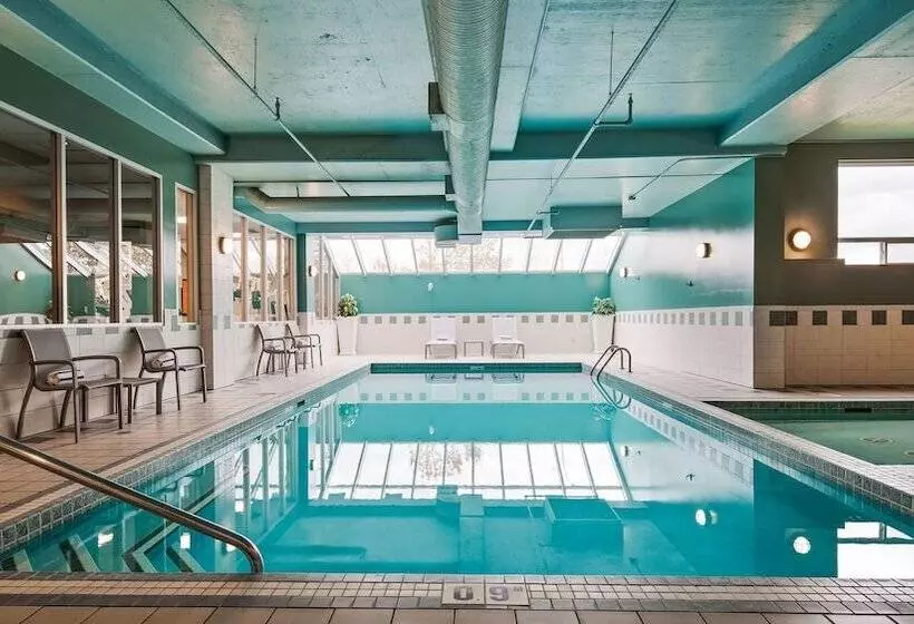 Fotos del hotel Best Western Plus Calgary Centre Inn:  19