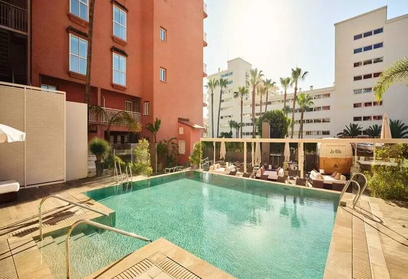 Fénix Torremolinos  Adults Only Recommended