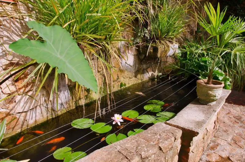 Fotos del hotel Ght Neptuno:  17