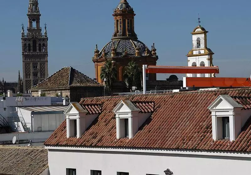 Fotos del hotel Rey Alfonso X:  5