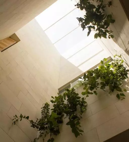 Fotos del hotel Círculo Mexicano:  14
