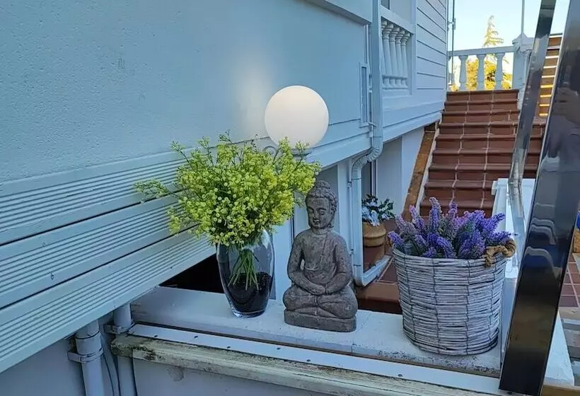 Fotos del hotel Don Diego:  17