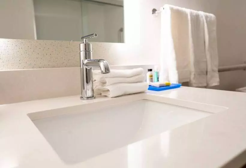 Fotos del hotel Holiday Inn Express Boston, An Ihg:  2