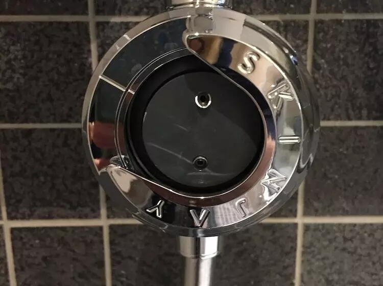 Fotos del hotel Hôtel Saphir Lyon:  21