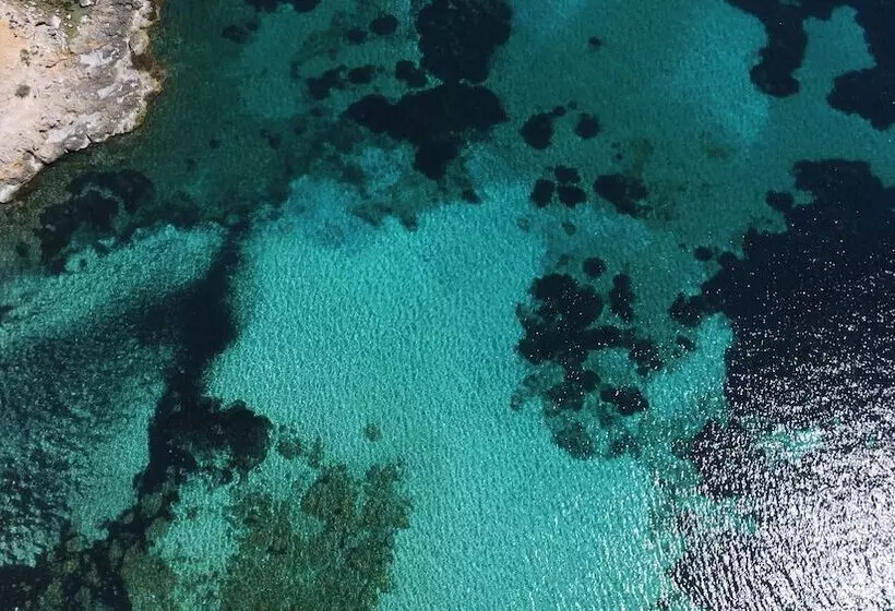 Fotos del hotel Son Caliu Spa Oasis Superior:  73