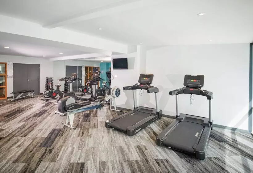 Fotos del hotel Novotel Tainui Hamilton:  3