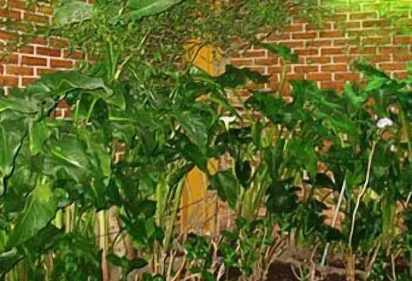 Fotos del hotel Astorga:  5