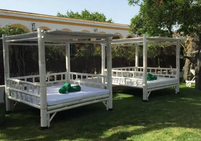 Fotos del hotel Duques De Medinaceli:  8