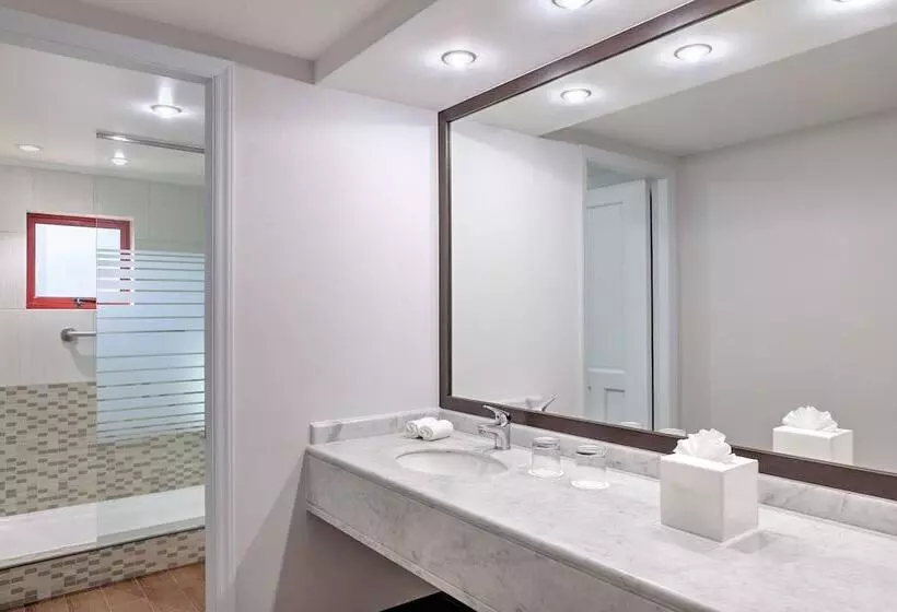 Fotos del hotel Four Points By Sheraton Santiago:  9