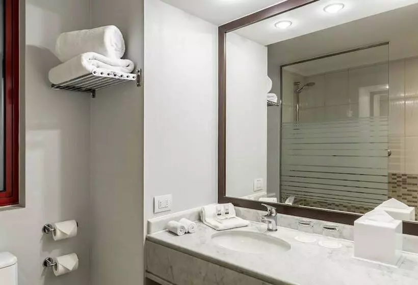 Fotos del hotel Four Points By Sheraton Santiago:  16