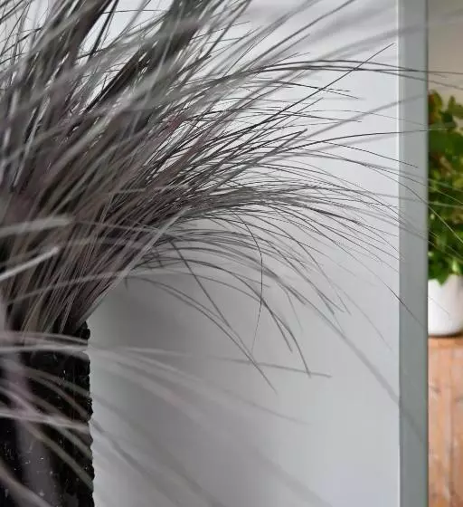 Fotos del hotel Doña Catalina:  21