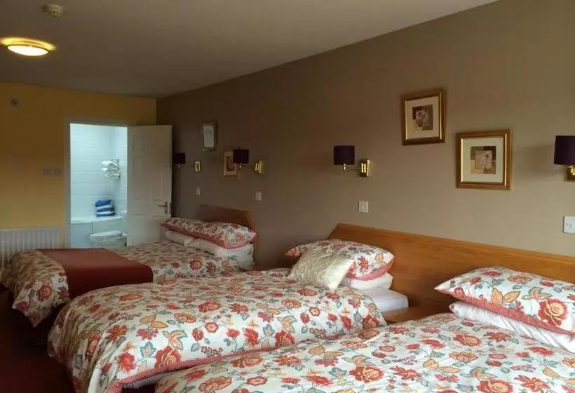 Fotos del hotel Glenmore House:  6