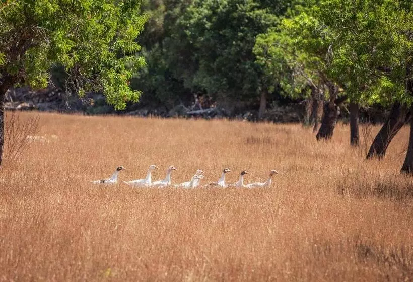 Fotos del hotel Llenaire:  17