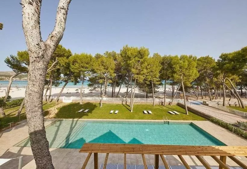 Fotos del hotel Sofia Alcudia Beach:  19