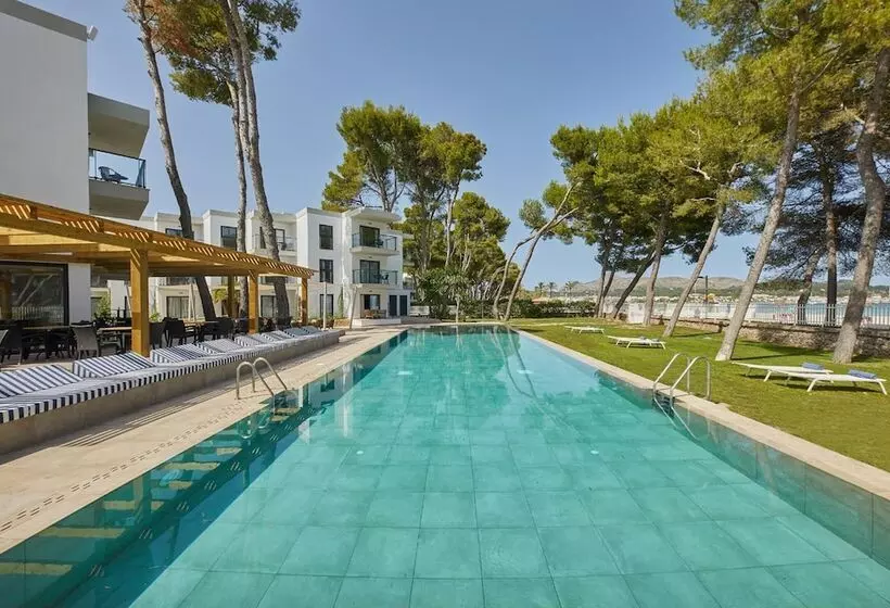 Fotos del hotel Sofia Alcudia Beach:  11