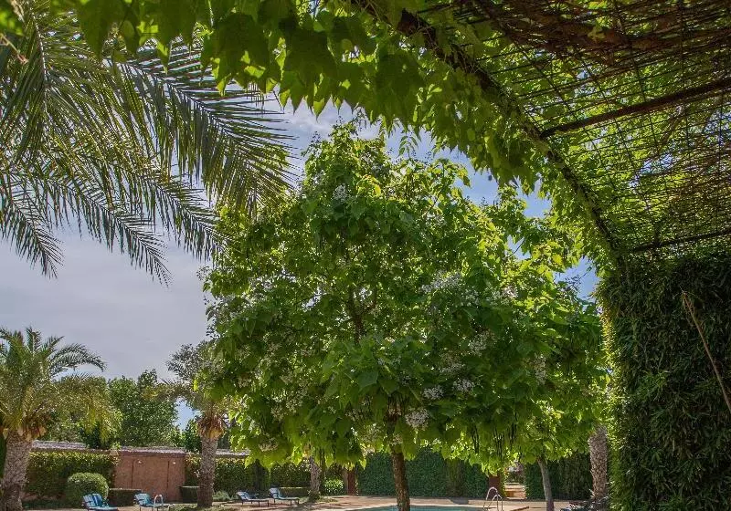 Fotos del hotel El Cortijo de Los Mimbrales:  7