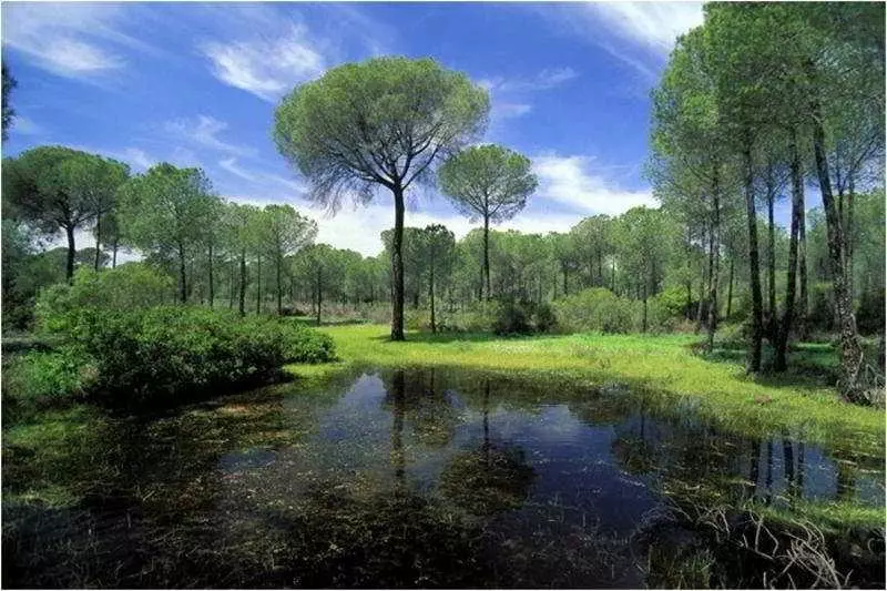 Fotos del hotel El Cortijo de Los Mimbrales:  13