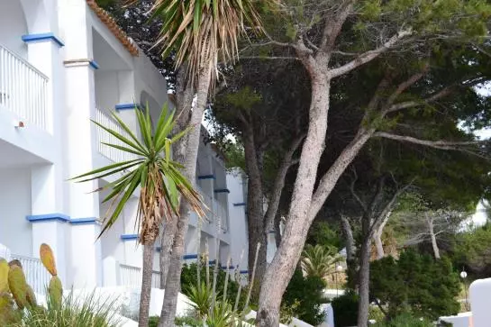 Fotos del hotel D-H Club Vista Bahía:  21