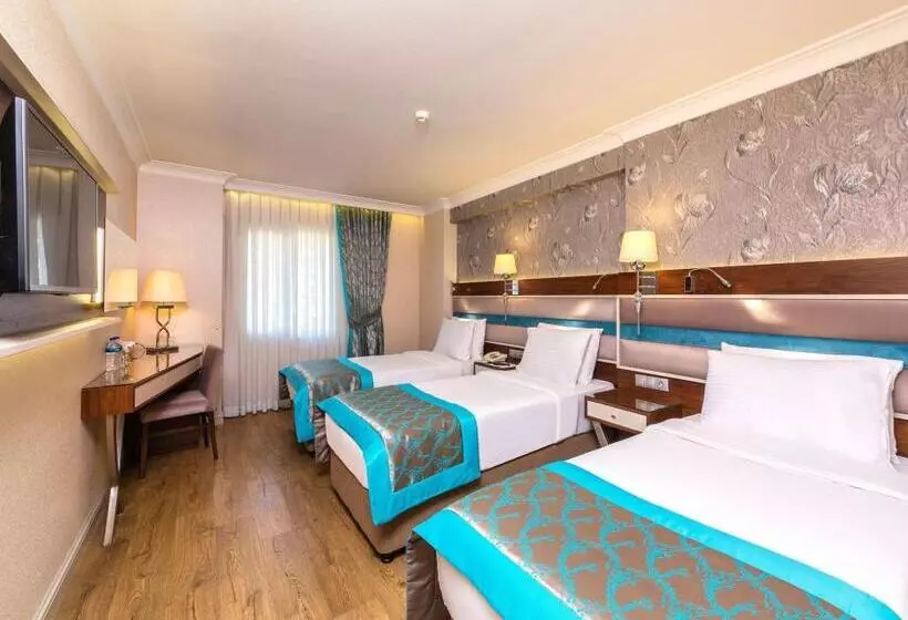 Fotos del hotel Grand Yavuz Hotel Sultanahmet:  11