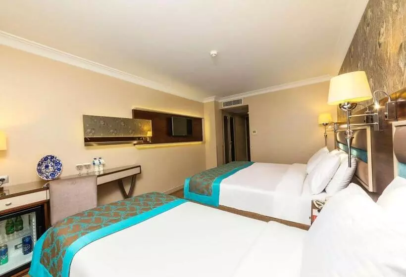 Fotos del hotel Grand Yavuz Hotel Sultanahmet:  20