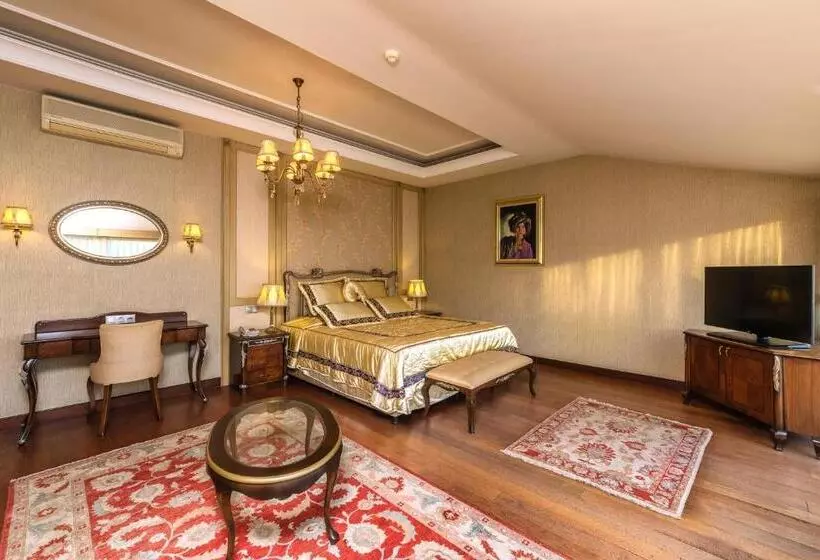 Fotos del hotel Grand Yavuz Hotel Sultanahmet:  25