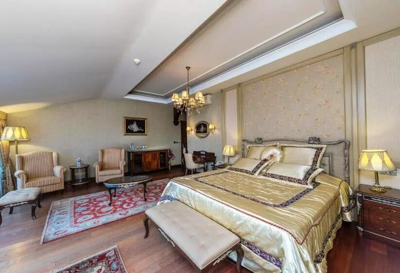 Fotos del hotel Grand Yavuz Hotel Sultanahmet:  24