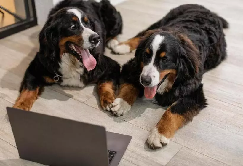 Fotos del hotel Petit Palace Plaza De La Reina:  6