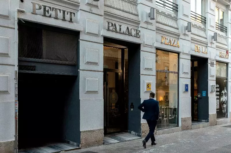 Fotos del hotel Petit Palace Plaza De La Reina:  14