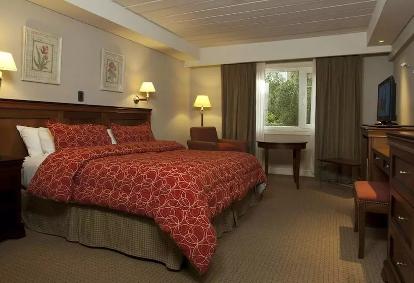 Fotos del hotel Quijote:  2