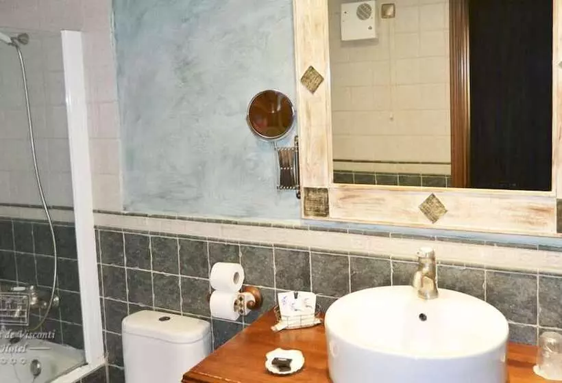 Fotos del hotel Condes De Visconti:  13