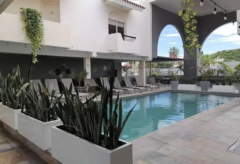 Fotos del hotel & Suites Las Palmas:  6