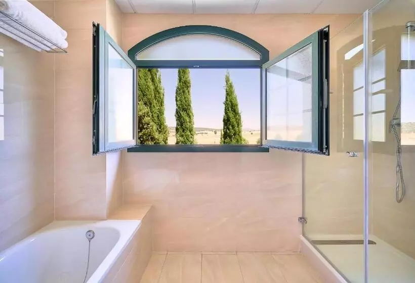 Fotos del hotel Fontecruz Avila:  17