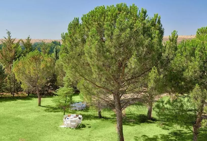 Fotos del hotel Fontecruz Avila:  7