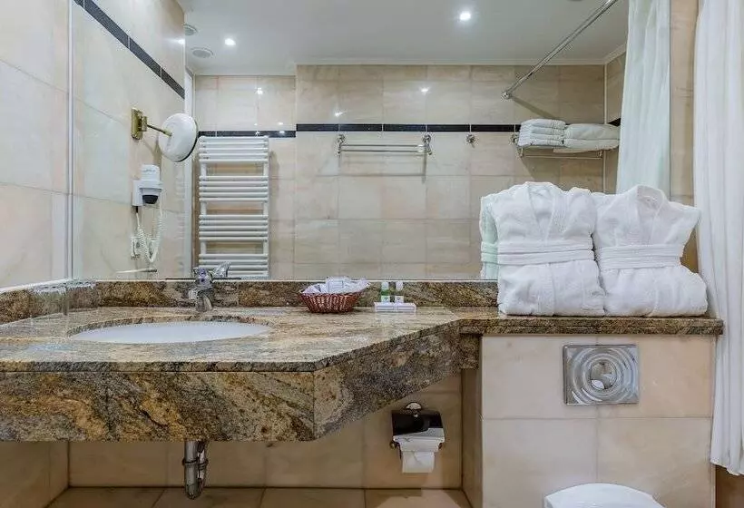 Fotos del hotel Natsionalny:  9