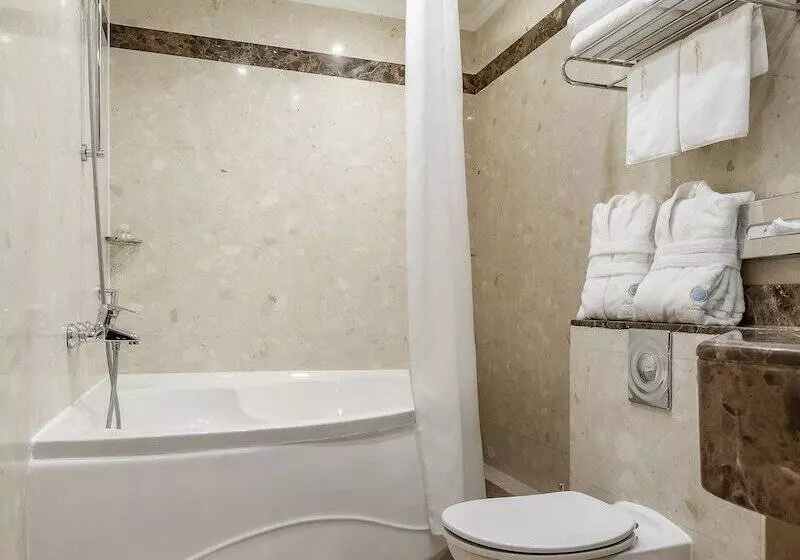 Fotos del hotel Natsionalny:  5