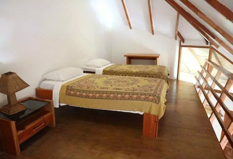 Fotos del hotel Nigi Nigi Nu Noos Beach Resort :  19