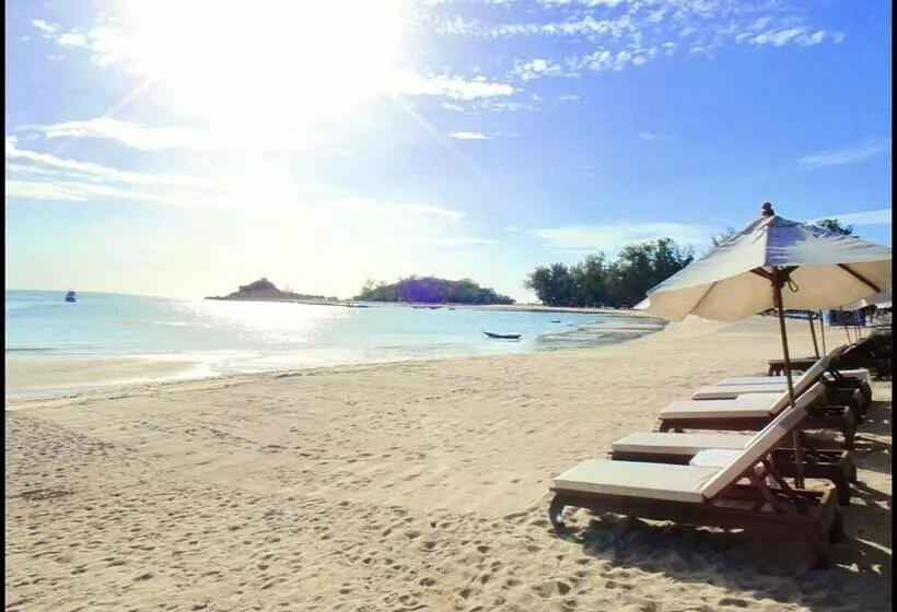 Fotos del hotel White House Beach Resort:  3