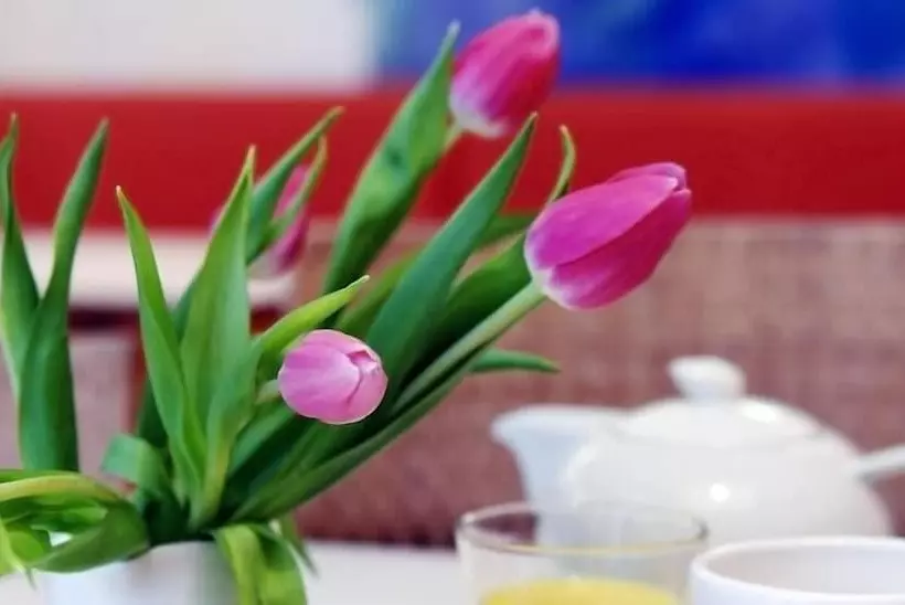 Fotos del hotel 1st Creatif Hotel Elephant:  14