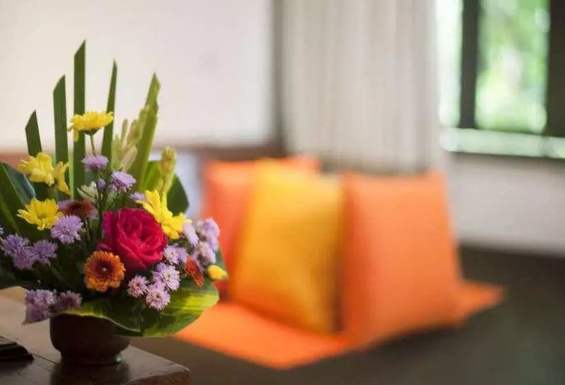 Fotos del hotel Vila Lumbung:  13