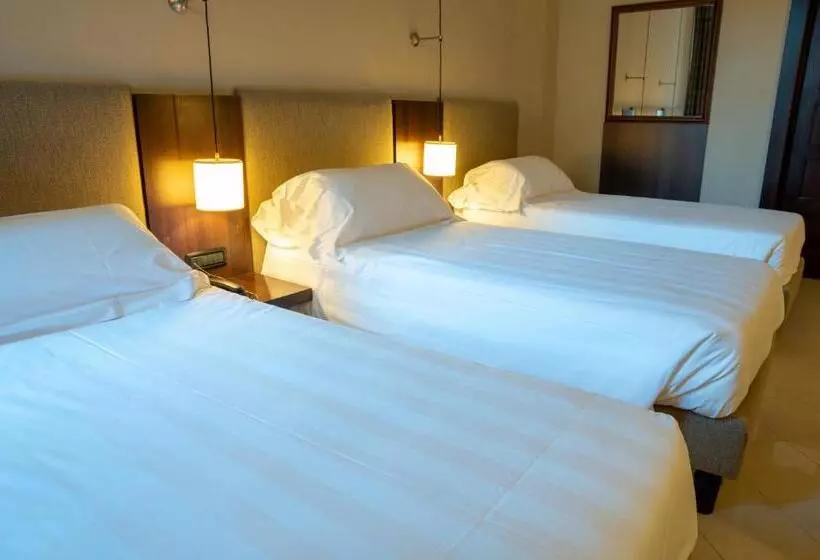 Fotos del hotel Th Roma  Carpegna Palace:  23