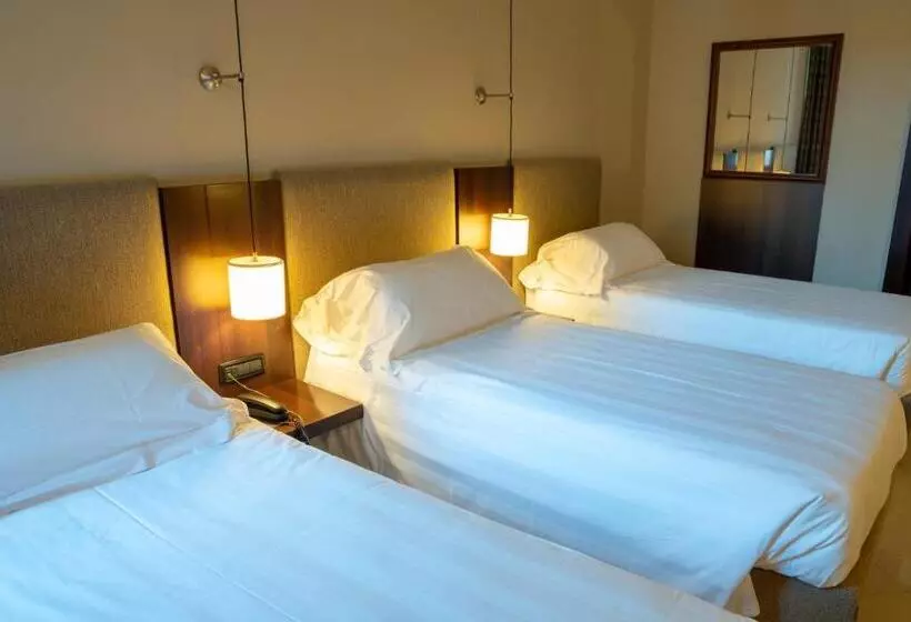 Fotos del hotel Th Roma  Carpegna Palace:  8