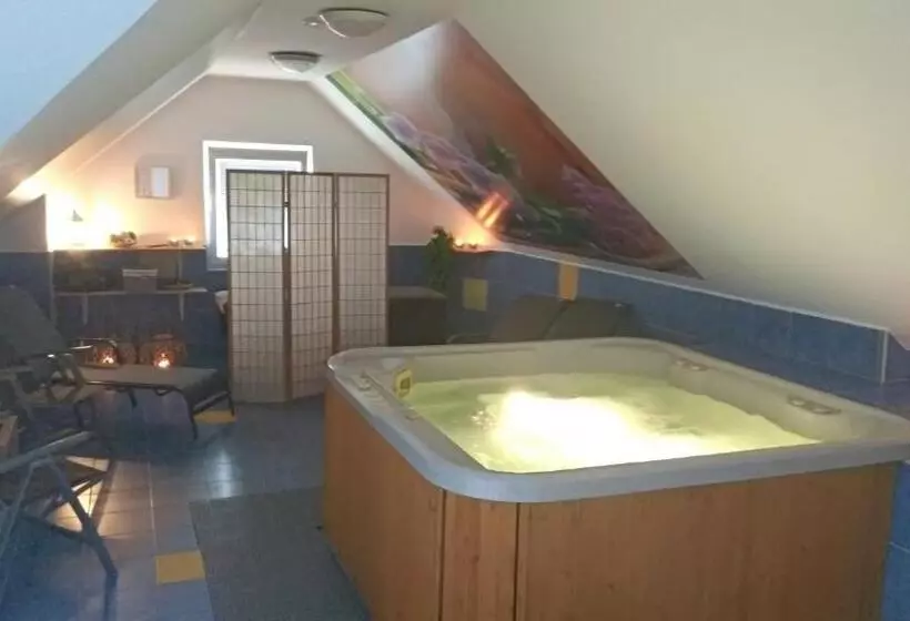 Fotos del hotel Penzion Silma:  4