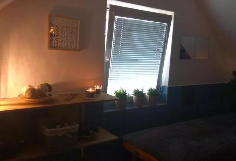 Fotos del hotel Penzion Silma:  12