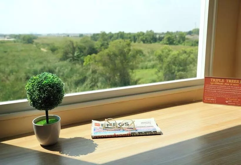 Fotos del hotel Triple Trees:  8