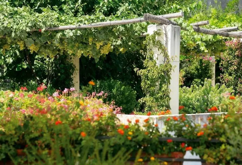 Fotos del hotel San Francesco Al Monte:  17