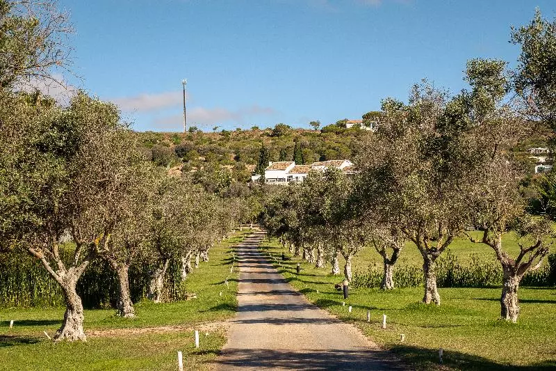 Fotos del hotel Vila Valverde Design Country:  24