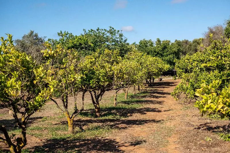 Fotos del hotel Vila Valverde Design Country:  23