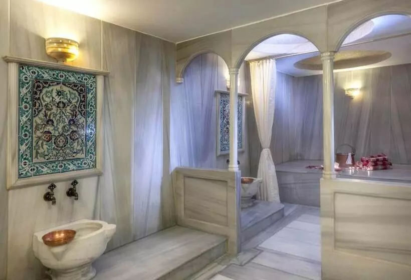 Fotos del hotel Yasmak Sultan:  6