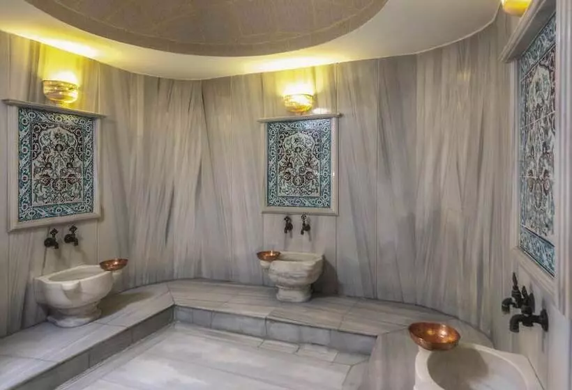 Fotos del hotel Yasmak Sultan:  2